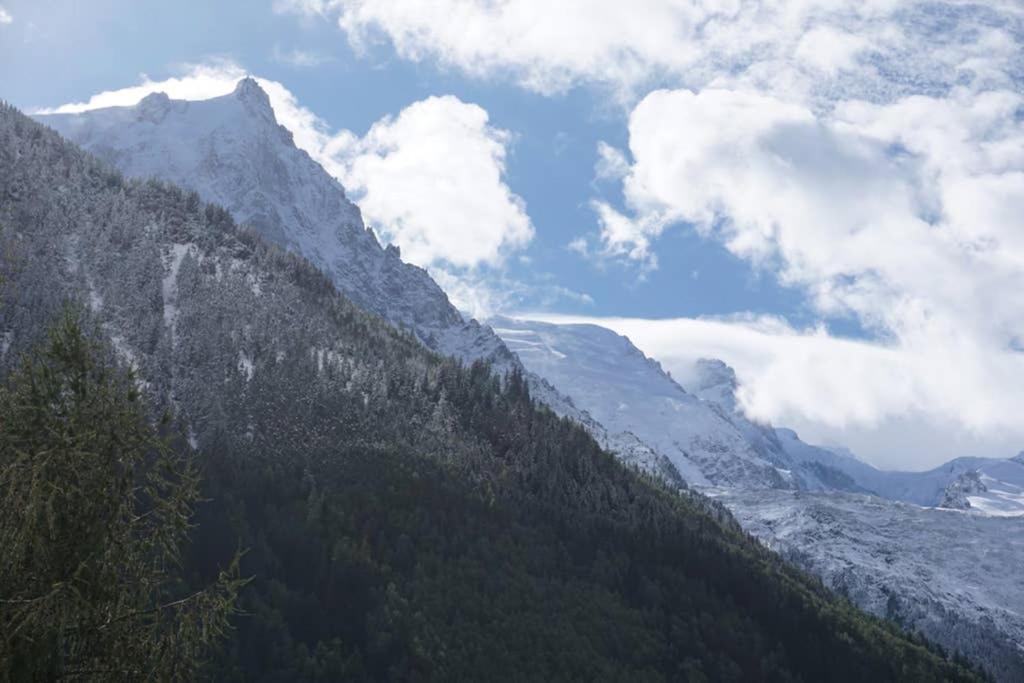 Studio Face Au Mont-Blanc Lejlighed Chamonix Eksteriør billede